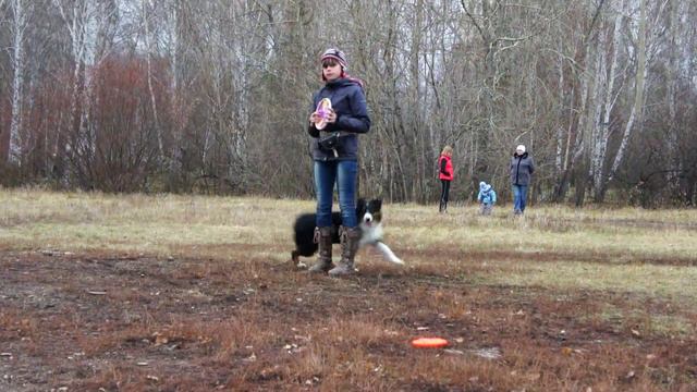 Санёк ролл свирл 3 смотреть онлайн