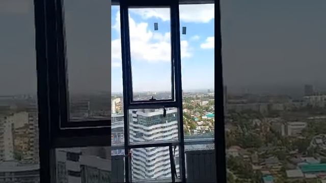 Хайфлэт купить в Новосибирске смотреть онлайн