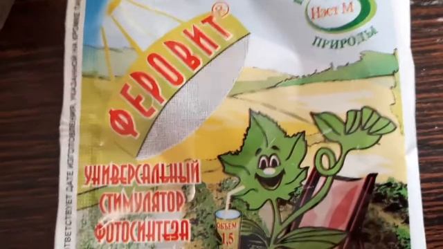 Новинки из Флорианаполис. Розы. Амариллис. смотреть онлайн