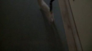 (ч.2)Выход на пляж в отеле Lti Agadir Beach Club 4