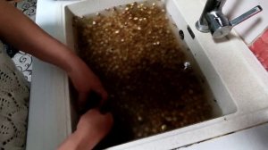 Как я избавляюсь от пустых и червивых орехов. МАМА показала Супер способ.