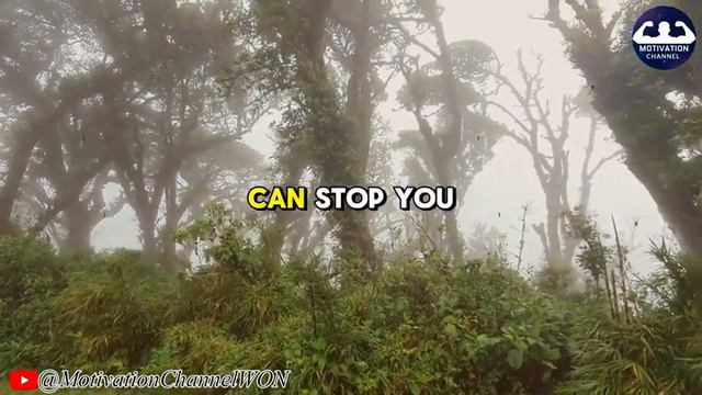 Brian Tracy - Start Strong With Any Audience - Powerful Motivational Speech смотреть онлайн