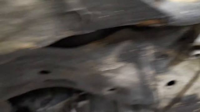 Диагностика маслянных сайлентблоков MAZDA CX 5 смотреть онлайн