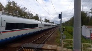 Скоростной поезд ЭВС1 "Сапсан" сообщением "Москва Ленинградская-Санкт-Петербург".