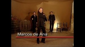 BAILE FLAMENCO VOLUMEN II - Artistas DVD