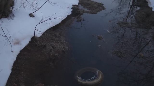 Речка Электроугли