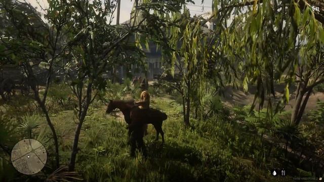 WILDWEST RP - СИНИЙ ДОМ #70 - РДР 2 РП смотреть онлайн