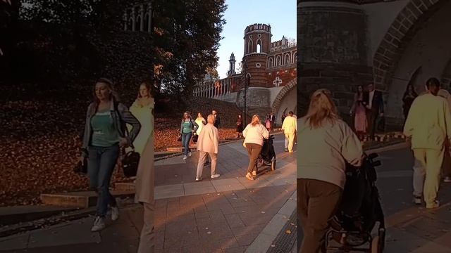 Жених и невеста!Свадьба на закате солнца в #Царицыно|#shorts #travel #russia #москва #закат #свадьб