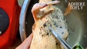 Ощипыватели, перосьемная машина для птиц, уток, гусей, кур, бройлеров.