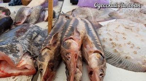 Одесский рынок ПРИВОЗ Летние цены на РЫБУ 2020! обзор от Одесского Липована