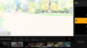 Sony Cinema Pro - Is VLogging possible!? How?