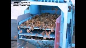Кедролущилка МТ, Шишкодробилка для получения кедрового ореха из шишки.