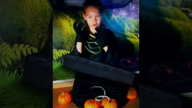 Страшная чёрная история на Хэллоуин. Halloween story from Magic Timur. смотреть онлайн