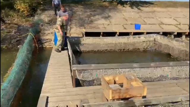 Встречайте красавицу! смотреть онлайн