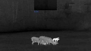 Pulsar Talion XQ38 Thermal Imaging Riflescope