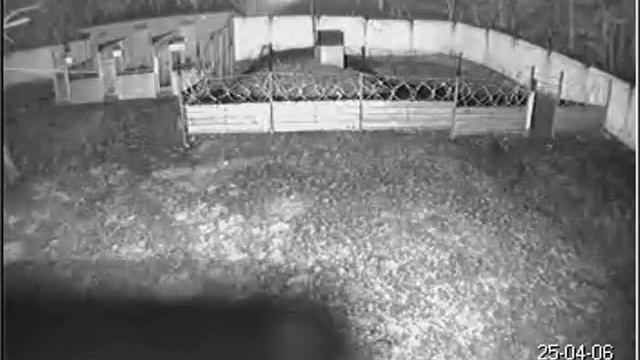 Какой то объект попал в камеру наблюдения.2 смотреть онлайн