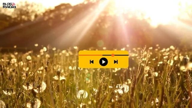Hãy Để Niềm Vui Gõ Cửa | Radio Chữa Lành