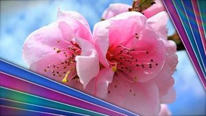 Красивая японская песня