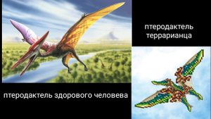 Мемы про террарию / terraria meme #54, террадактель!