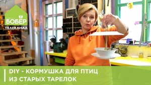 КОРМУШКА своими руками! Делаем кормушку для птиц из старых тарелок