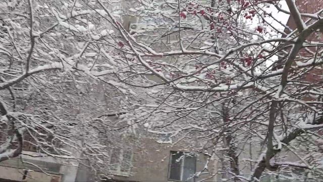 14.11.2022 Зимняя сказка / Детский центр смотреть онлайн