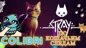 По Кошачьим Следам ► Stray│#ПолноеПрохождение