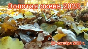 Краснодар - осень  ????☀️ - 20 октября 2023 г.