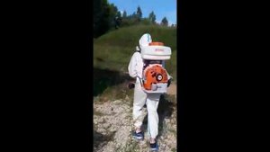 Осторожно: ОСЫ! Уничтожаем гигантское гнездо.