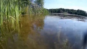 Гжельские карьеры Коняшино