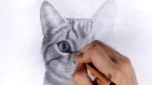 Реалистичный рисунок котика