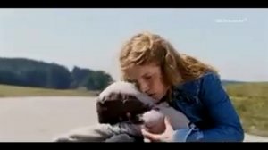 Видео из фильмов по книгам Крапивина