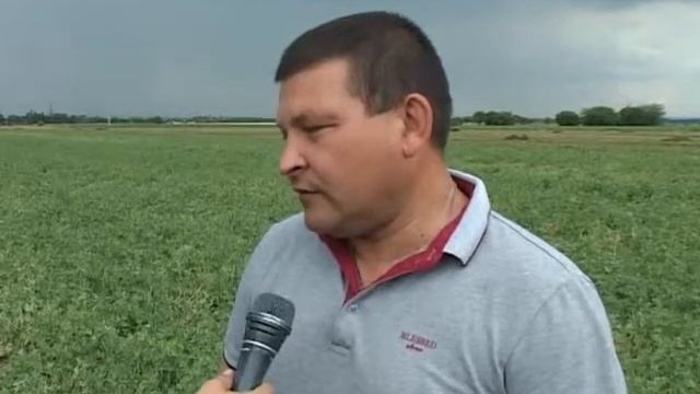 Уборка зелёного горошка в фирме Рустас смотреть онлайн