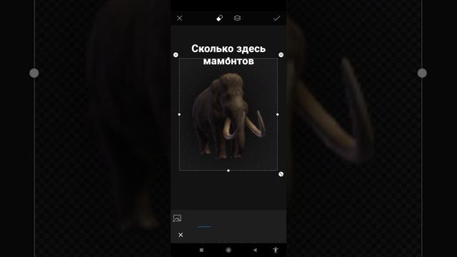 сколько мамонтов на фото?