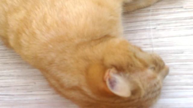 Аллергия у Марса смотреть онлайн