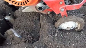 Мотокультиватор крот.