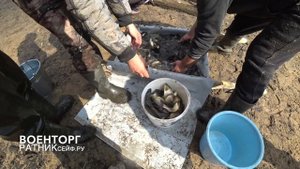 ЗАПУСК малька КАРПА в ОЗЕРО покупка рыбы