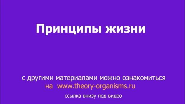 Принципы жизни