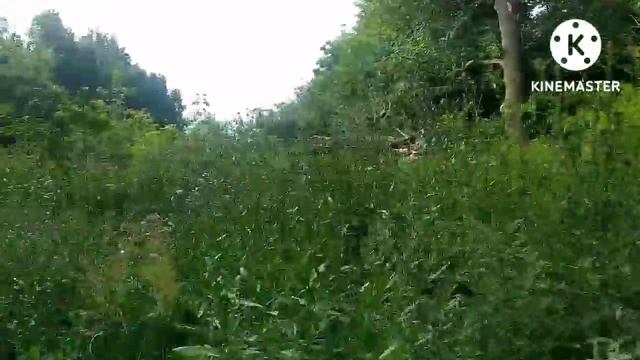 сходили на рыбалку ? смотреть онлайн