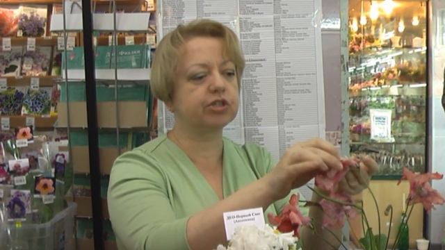 ДФ.Особенности селекции сенполий.Селекционер О.Аксёнкина