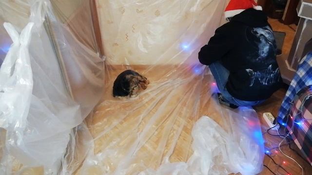 Камин из картона | Своими руками смотреть онлайн