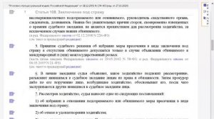 Калиновский К.Б. Меры пресечения. Лекция 2..mp4