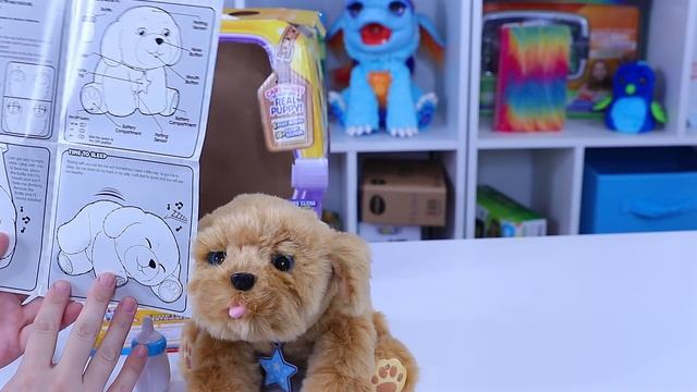 Little Live Pets Snuggles My Dream Puppy Playset смотреть онлайн