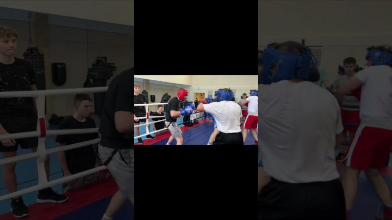 #boxing #shorts