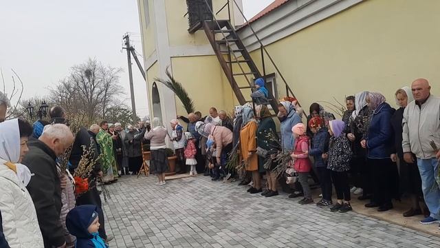 17.04.2022 Вербное Воскресенье// Освятили вербу смотреть онлайн