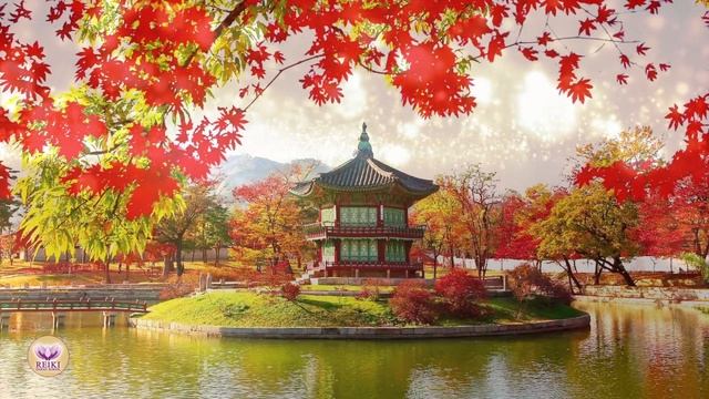 Музыка для умиротворение тела и духа | Индийская школа Рейки смотреть онлайн