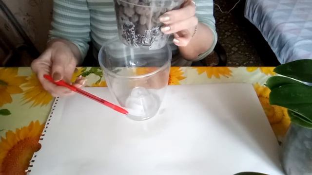 Как УХАЖИВАТЬ и СОДЕРЖАТЬ орхидеи! смотреть онлайн