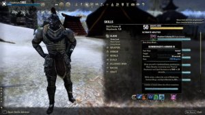 ESO Stamina Necromancer PvP Build e/ Стамина Некромант ПвП билд