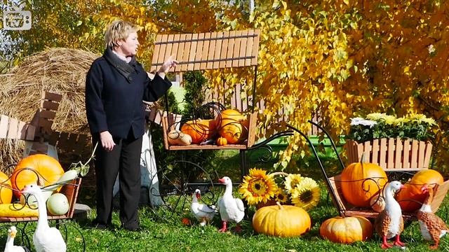 Садовые тележки в интернет магазине Hitsad смотреть онлайн