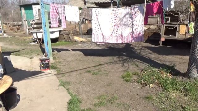 блог, пришла настоящая весна, влог № 292.