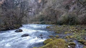 Сочи. Март, 2020.